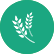 燃氣灶